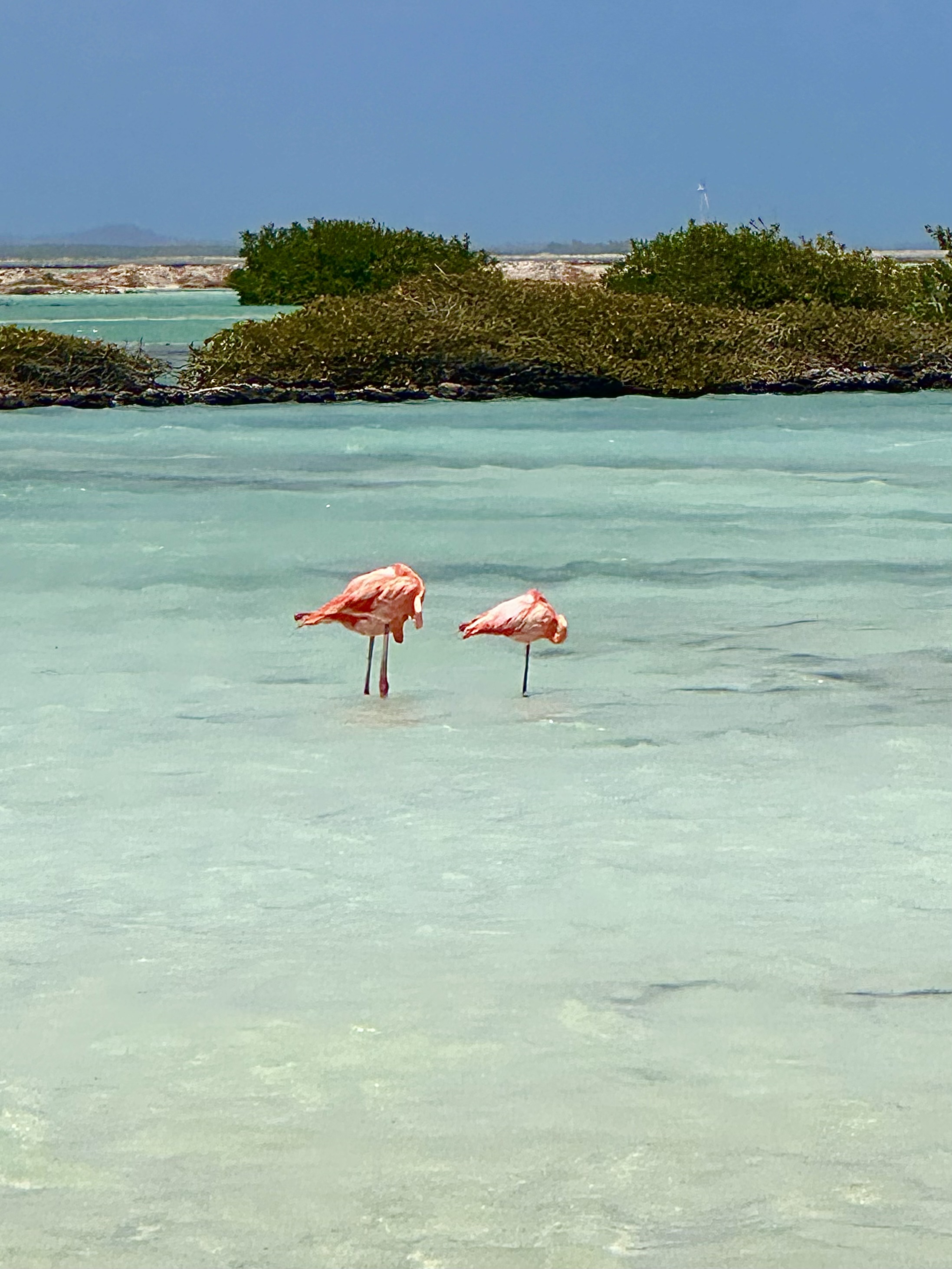 Beach House Piet Boon on Bonaire